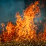 California wildfires: Causes, solutions and conspiracy theories California wildfires: Causes, solutions and conspiracy theories