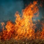 California wildfires: Causes, solutions and conspiracy theories California wildfires: Causes, solutions and conspiracy theories